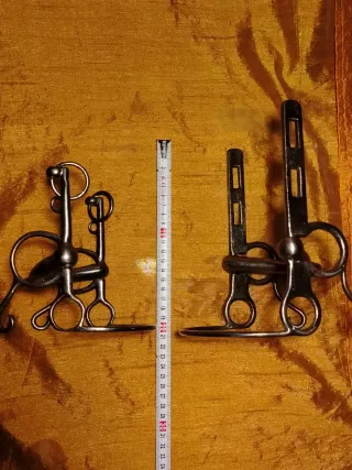 Coppia di morsi per cavalli decorativi