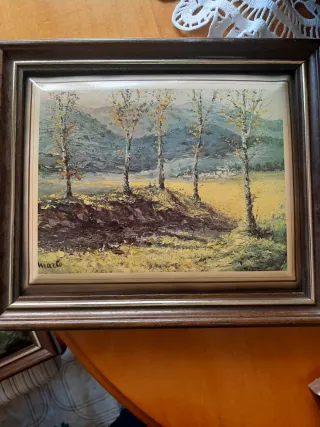 3  cuadros de paisajes