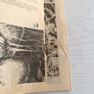 TALES OF THE ZOMBIE ESCALOFRIO #25 VERTICE