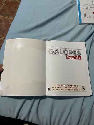 CURSO DE EQUITACIÓN. GALOPES. NIVELES 1 AL 4 (C...