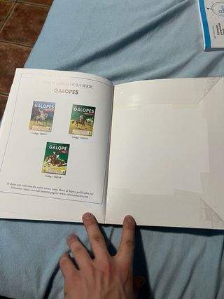 CURSO DE EQUITACIÓN. GALOPES. NIVELES 1 AL 4 (C...