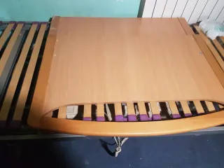 Cama ortopédica eléctrica