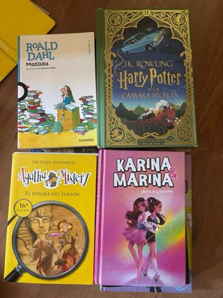 Libros juveniles e infantiles variados