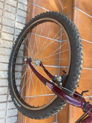 2 Bicicletas Montaña Nakamura y Monty