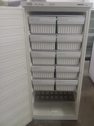 Congelador Industrial Liebherr por 780€.