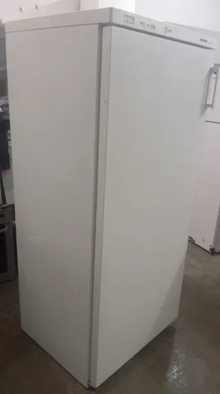 Congelador Industrial Liebherr por 780€.