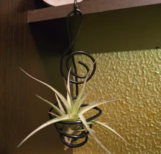 Soporte negro para planta de aire