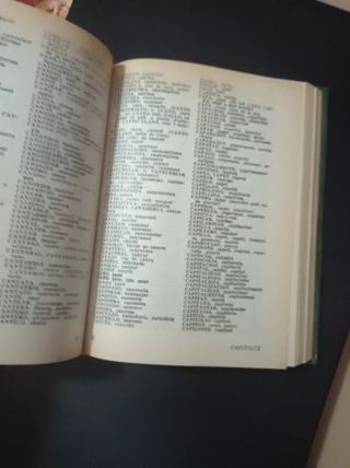 Diccionari català-castellà / castellá-catalá