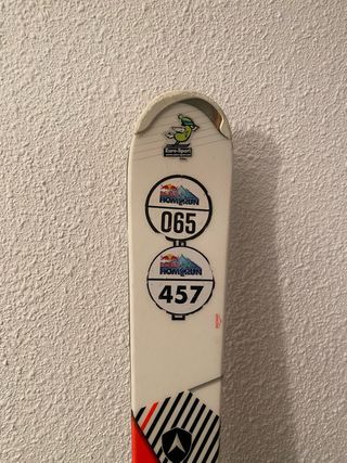 Esquis 153 (Dynastar Rocker) + Bastones