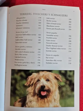 Libro Perros - Historia, Descripción, Fotografías
