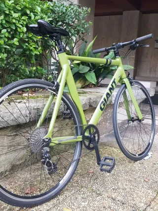 Bicicleta  Verde