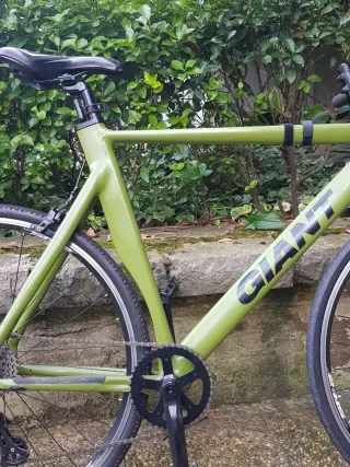 Bicicleta  Verde