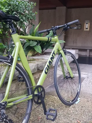Bicicleta  Verde