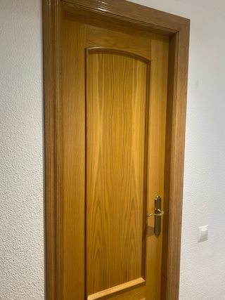 Conjunto 6 puertas roble interior