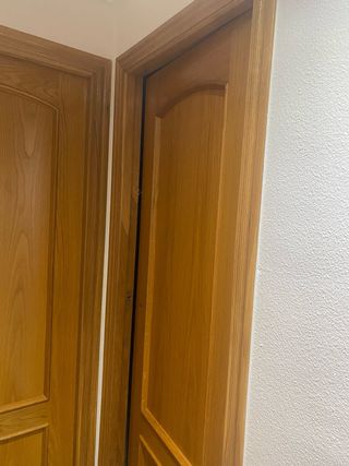 Conjunto 6 puertas roble interior