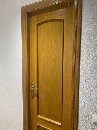 Conjunto 6 puertas roble interior