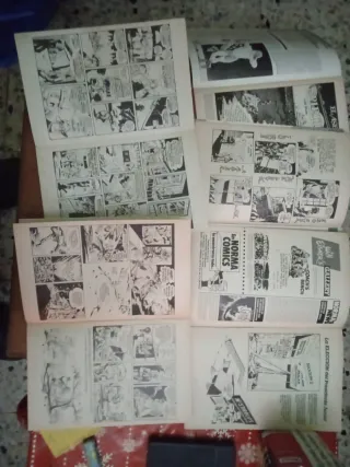 5x The Spirit - Serie Norma