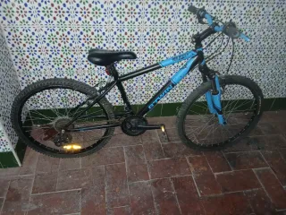 Bicicletas Btwin Azul y  floreciente