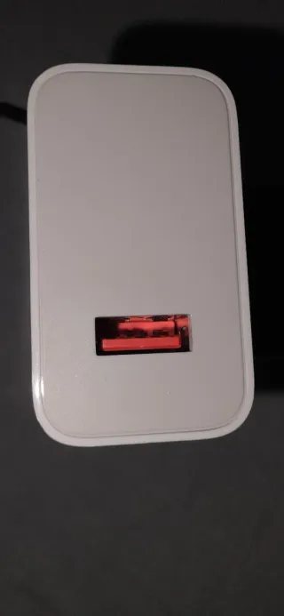 Cargador Xiaomi 67W