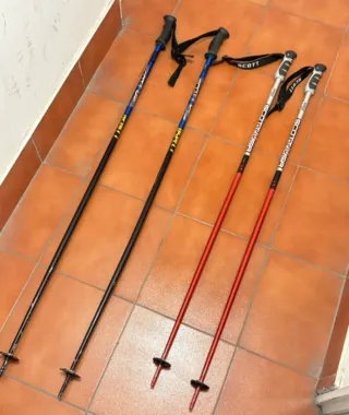 Botas de esquí Nordica GX