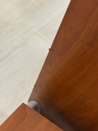 Polk Audio Monitor Series Altavoces