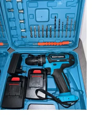 Trapano Avvitatore 48V con 2 Batterie