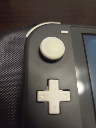 Nintendo Switch Lite Gris