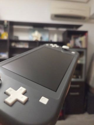 Nintendo Switch Lite Gris