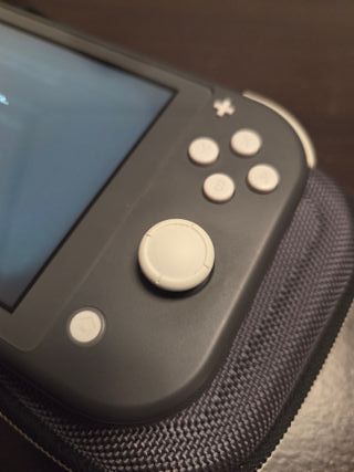 Nintendo Switch Lite Gris