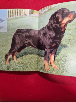 Libro Rottweiler - Serie Excellence