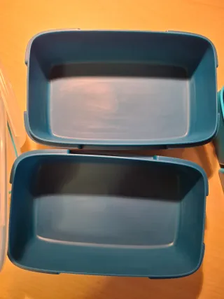 Porta pranzo blu e trasparente