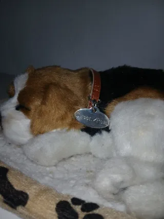 Perrito de peluche para bebé