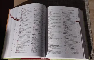 Diccionari Barcanova de Primària