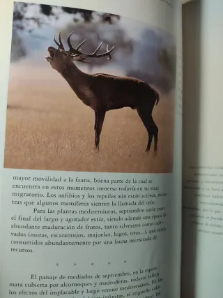 Lote Naturalista y España Salvaje