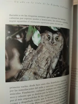 Lote Naturalista y España Salvaje