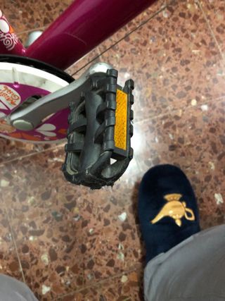 Bicicleta niña 20 con cesta