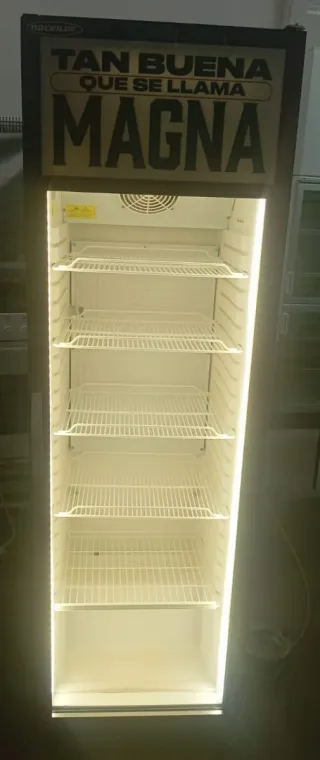 Nevera Grande Expositor por 380€.