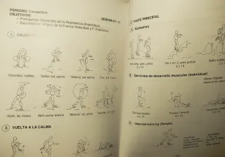 Manual Didáctico Árbitro Fútbol