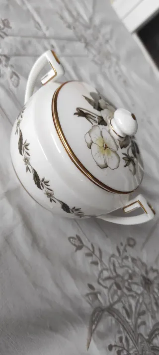 Zuccheriera Royal Worcester Porcellana