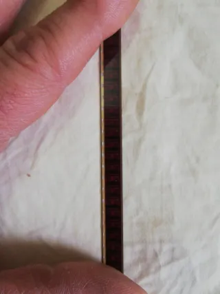 Festival Cuca y Pajaro Super 8