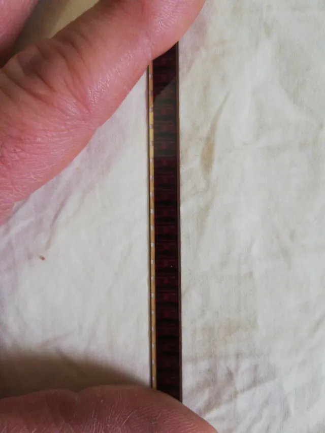 Festival Cuca y Pajaro Super 8