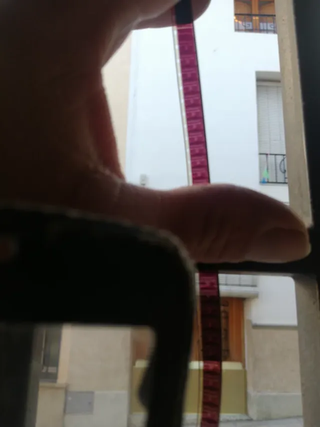 Festival Cuca y Pajaro Super 8