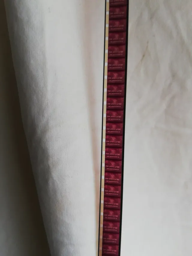 Festival Cuca y Pajaro Super 8