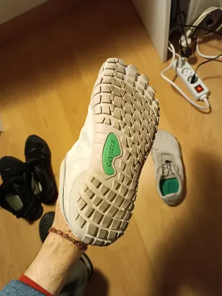 Zapatillas Saguaro Talla 43