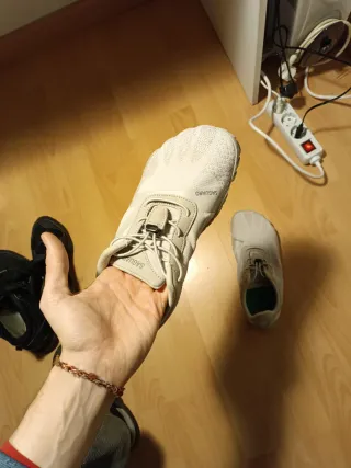 Zapatillas Saguaro Talla 43