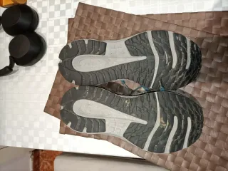 Zapatillas Asics Trail Scout 3