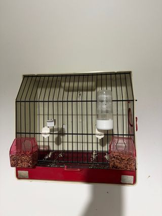 Jaulas de concurso para canarios