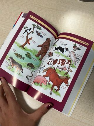 Diccionario Escolar français-espagnol / español...