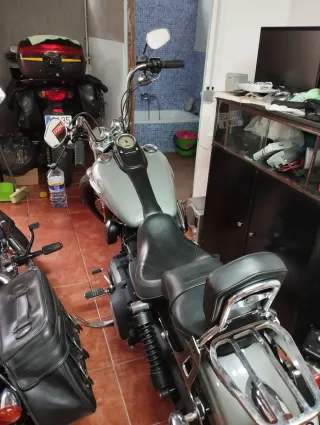 Harley Davidson Dyna FXDB Street Bob