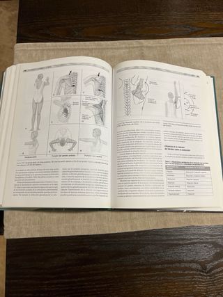 Anatomía y cinesiología de la danza
